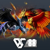 Sabong - Traditional Cockfighting